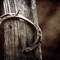 Horseshoe nailed to old wood